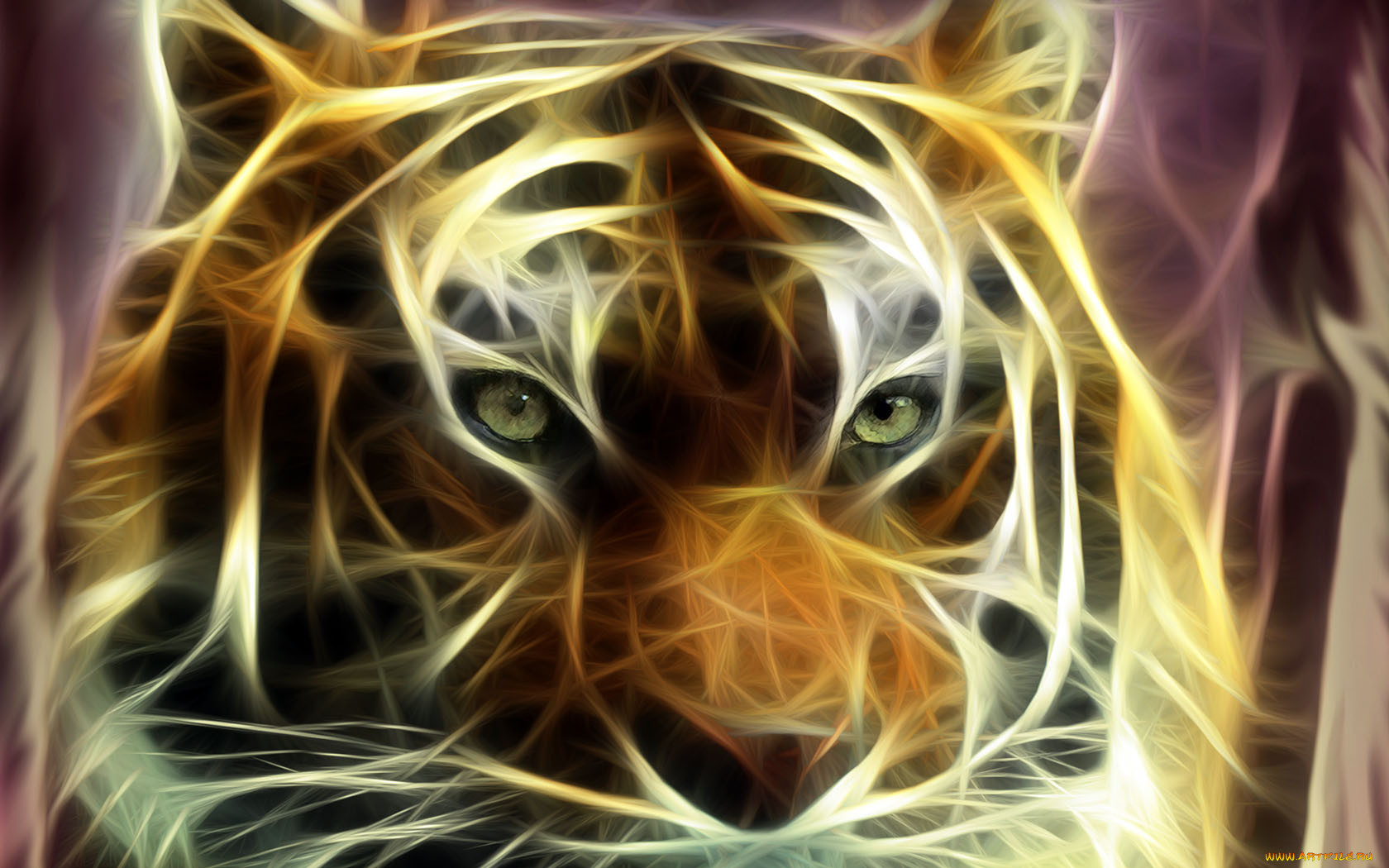 3, , animals, 